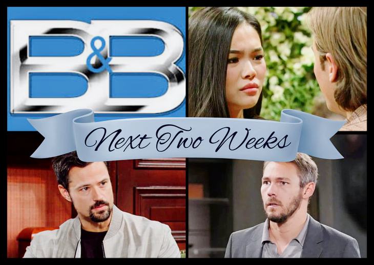The Bold And The Beautiful Spoilers Next 2 Weeks: Thomas’ Revenge, Liam Hacks, Luna vs Will